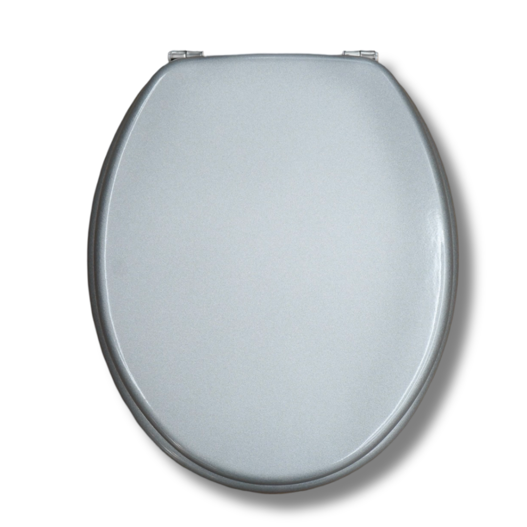 Shimmer Silver Toilet Seat
