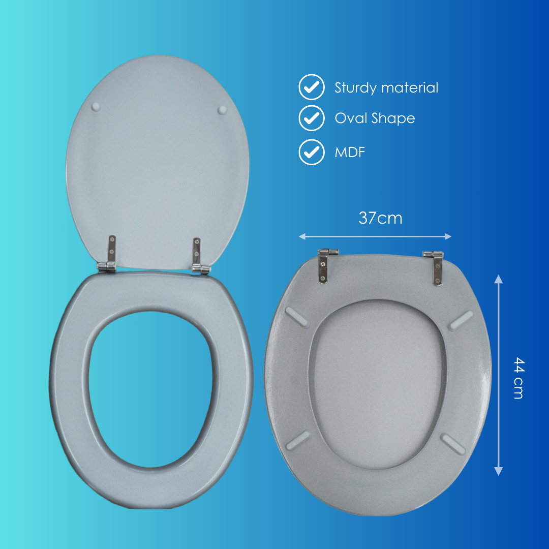 Shimmer Silver Toilet Seat